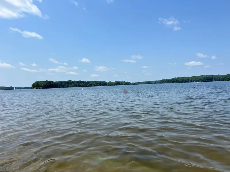 Kent Lake swimming area at Martindale Beach with boundary buoys and a wooded shoreline